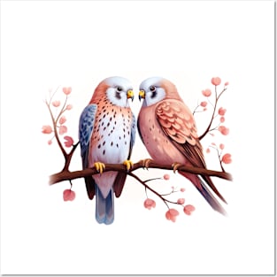 Valentine Kissing Kestrel Bird Couple Posters and Art